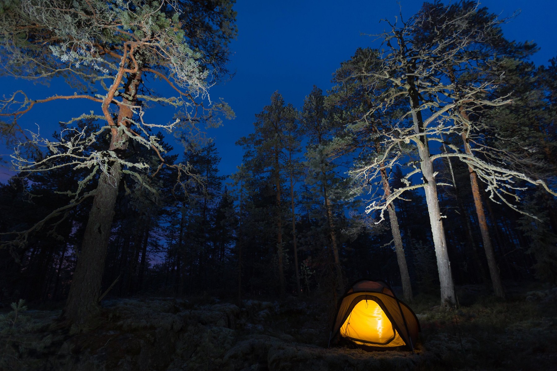 Szarvasbőgés és sakál vonyítás zavarta meg a vadkempinget, egy 300 kilós gímszarvas lihegett a nyakamban