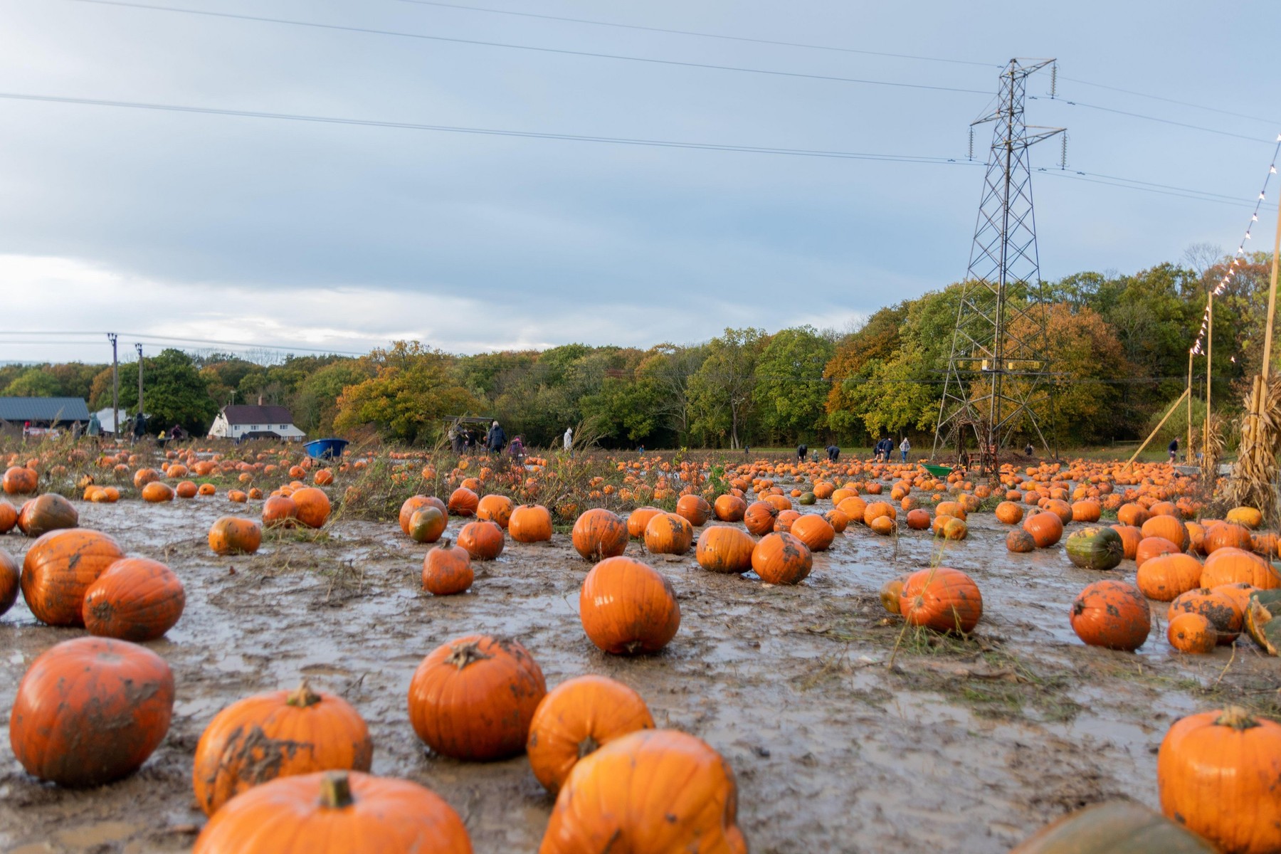 Különös hidegfront éri el az országot Halloween napján, érdemes felkészülni arra, amit magával hoz - részletes időjárás-előrejelzés