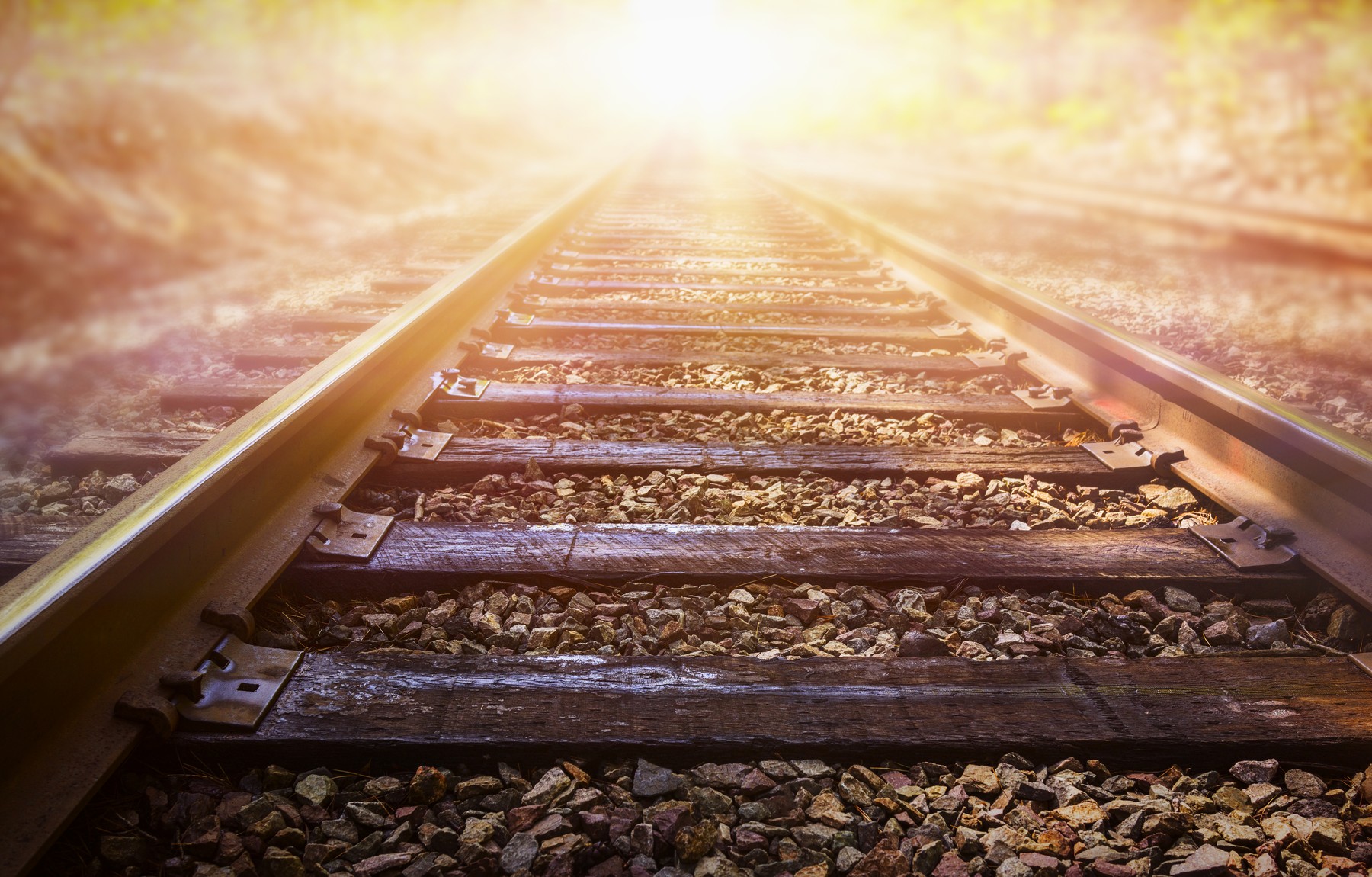 Fontos változásokat jelentett be a MÁV: ez mindenkit érint, aki utazni készül a mai napon