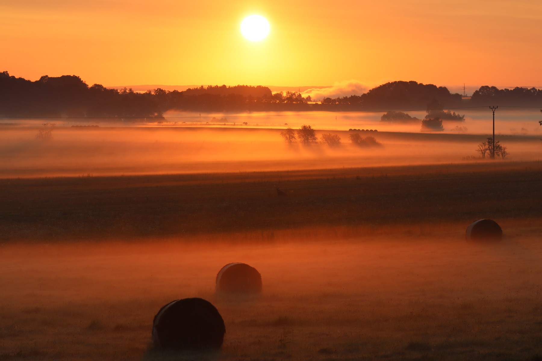 Elképesztő, ami a következő hónapokban ránk vár, időjárás-jelenség miatt figyelmeztetnek a szakértők