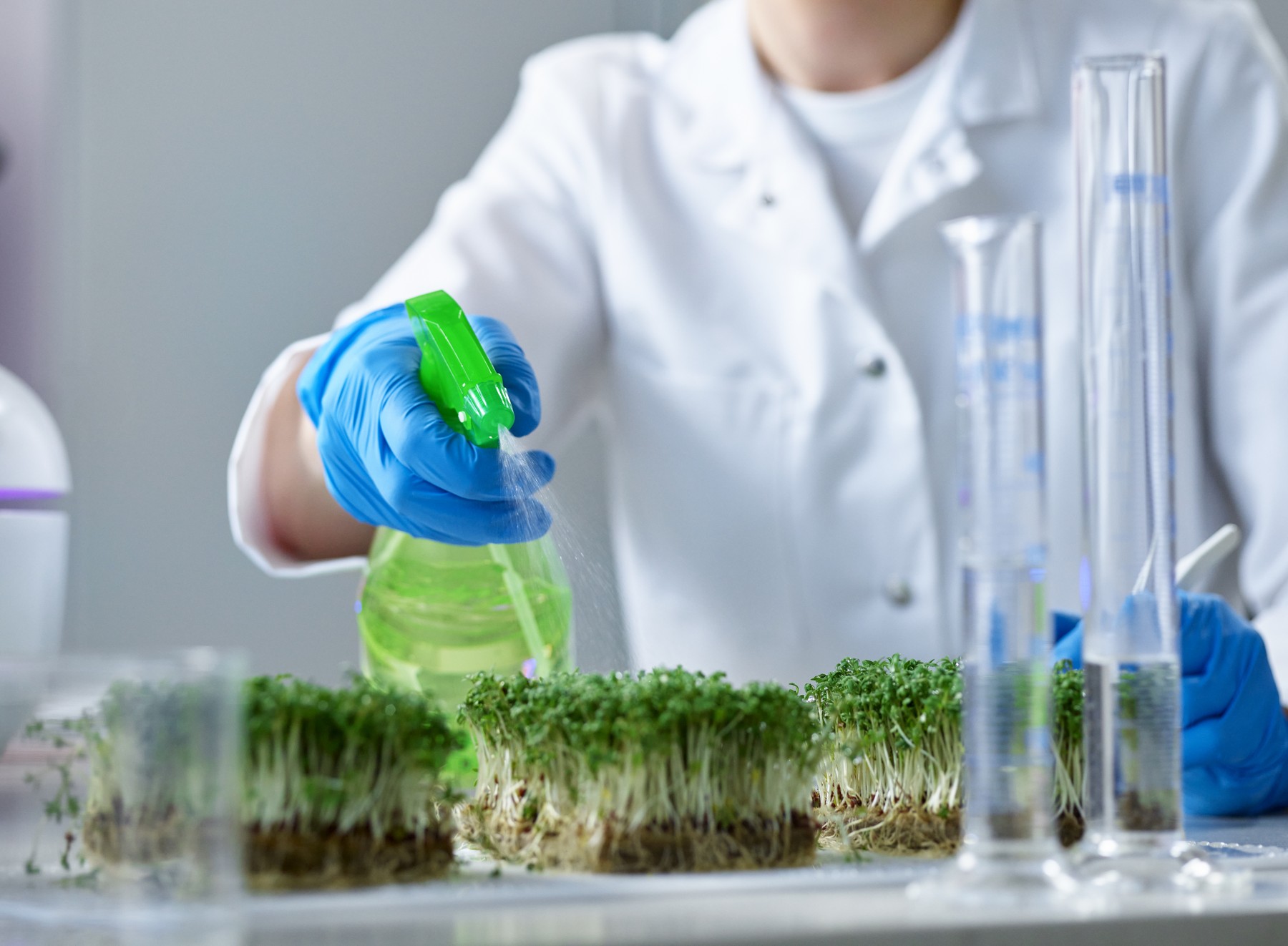 A növények is tudnak beszélni: itt a bizonyíték, felvették ahogyan szenvednek