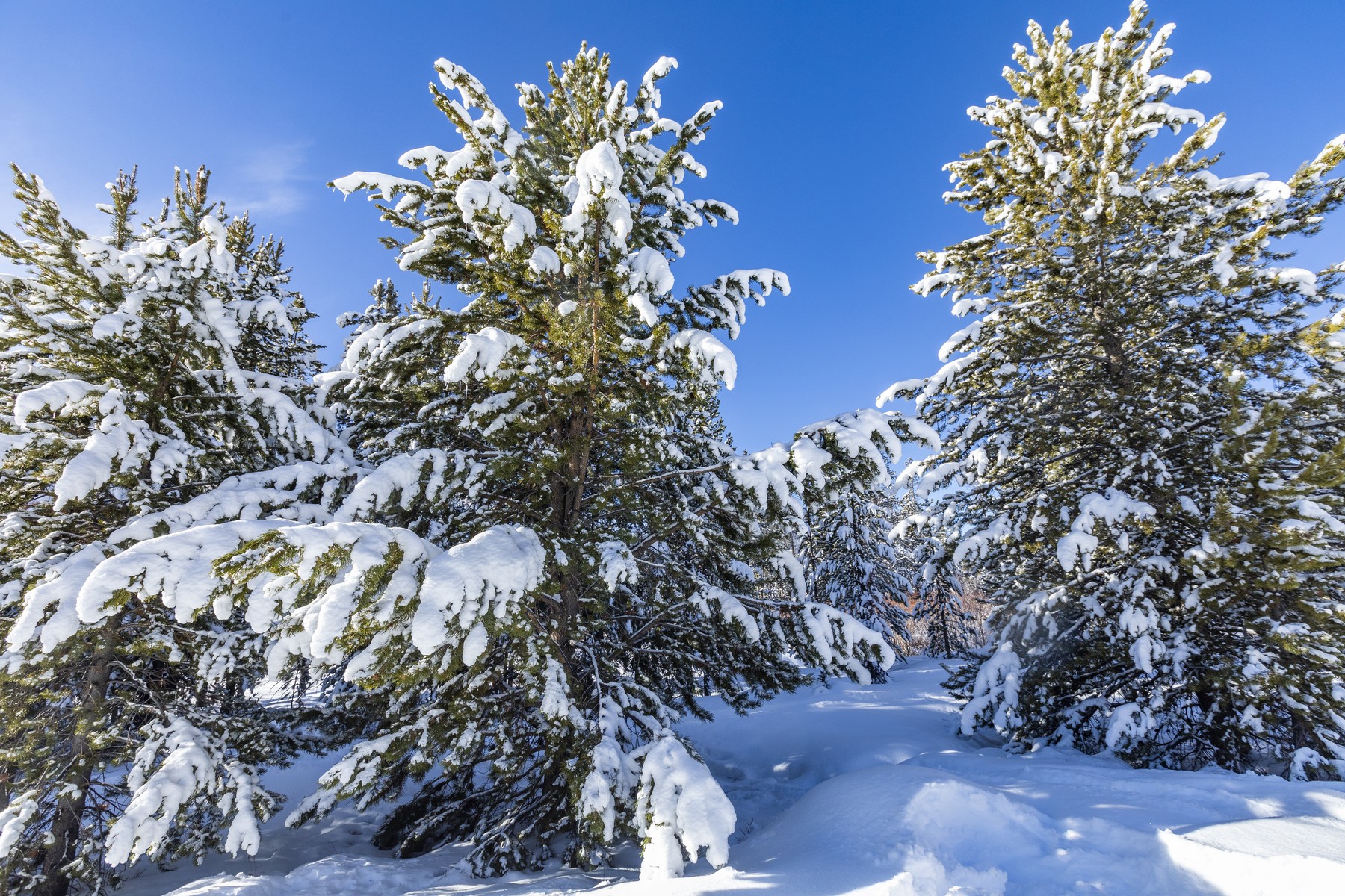 Pusztító ciklon éri el hazánkat hétfőn, elképesztő mennyiségű hó és eső várható ebben az országrészben