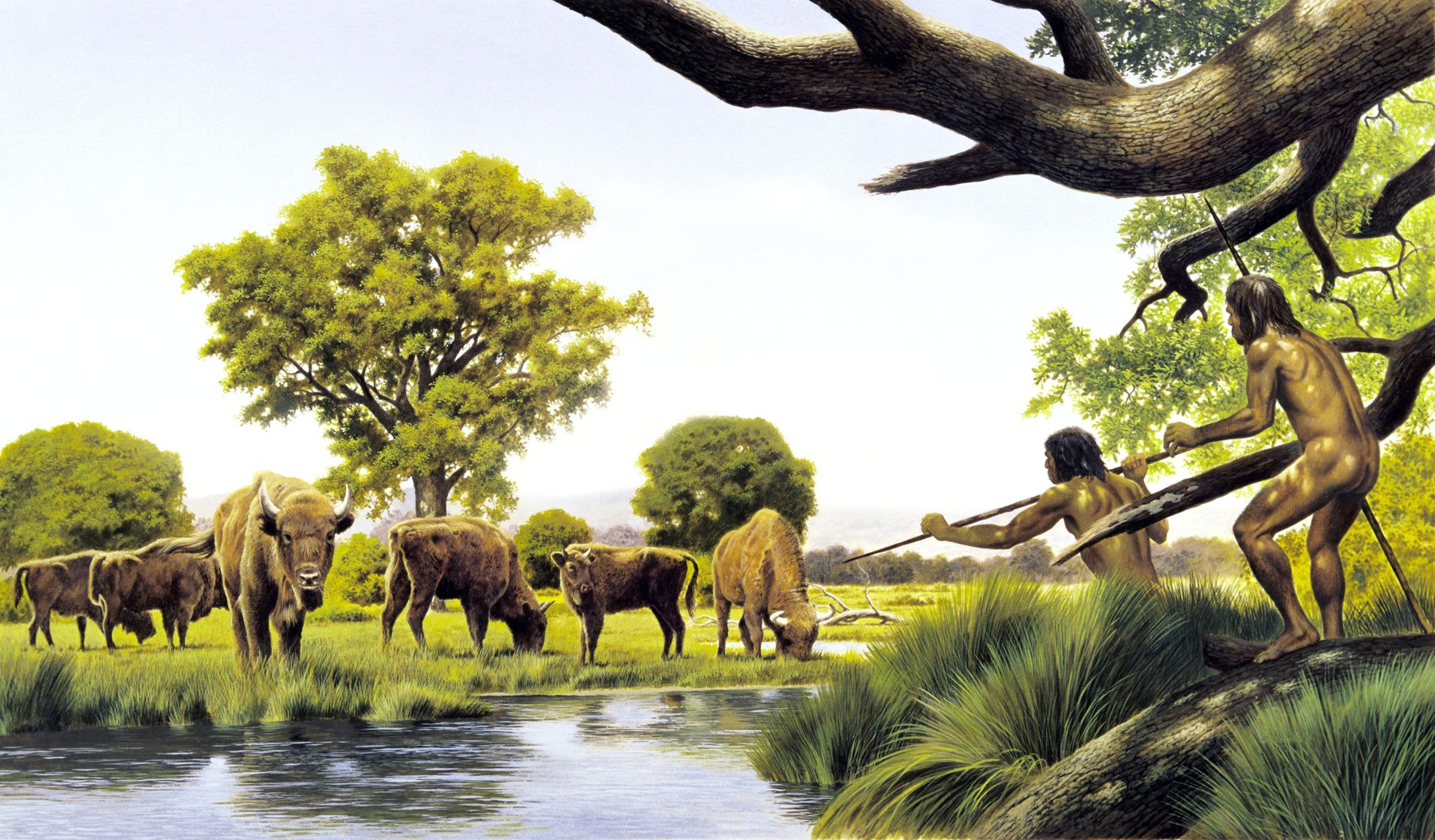 A nők már az őskorban is jobbak voltak a férfiaknál ebben a tevékenységben, csak senki nem tudott róla