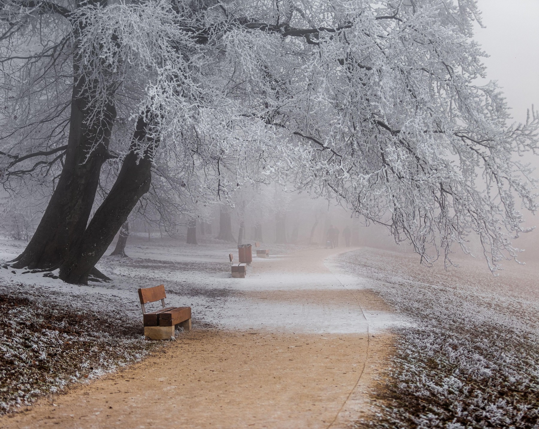 Brutális árakkal támad Budapest legszebb kirándulóhelye, elkeseredett családok kérdezgetik hogyan tovább
