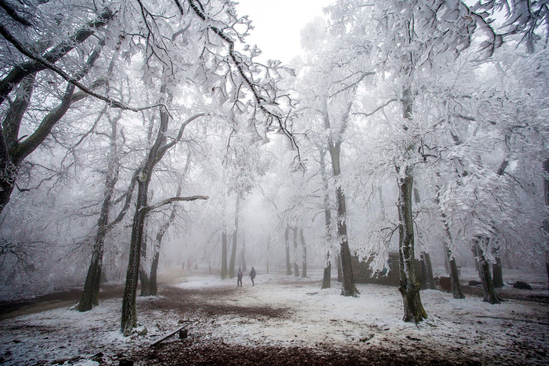 Komoly figyelmeztetés robogott be, durvul az idő, a meteorológusok kiadták, ebben az országrészben alaposan megváltozik minden - részletes időjárás-előrejelzés