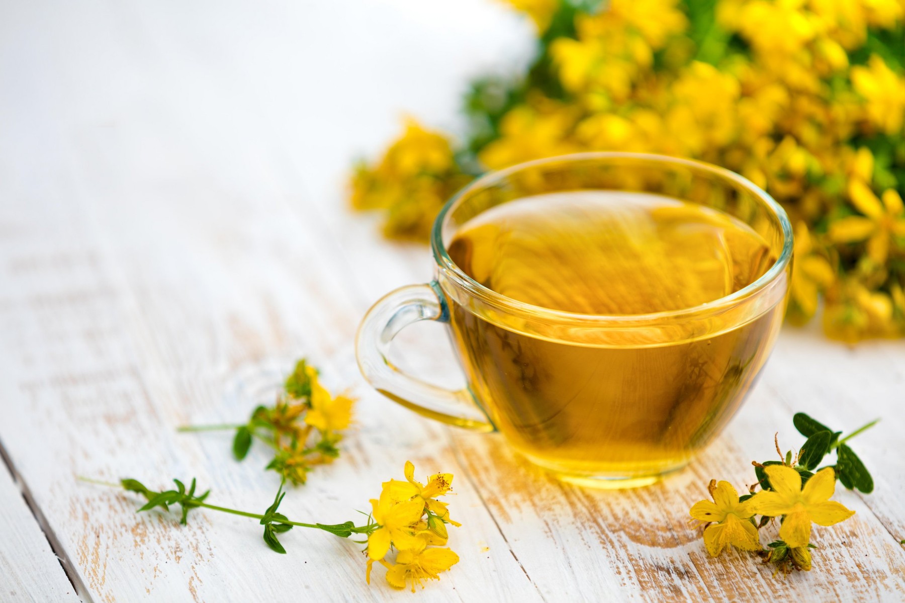 Életveszélyes gyógynövény: közkedvelt, sokan használják, de jól vigyázz vele