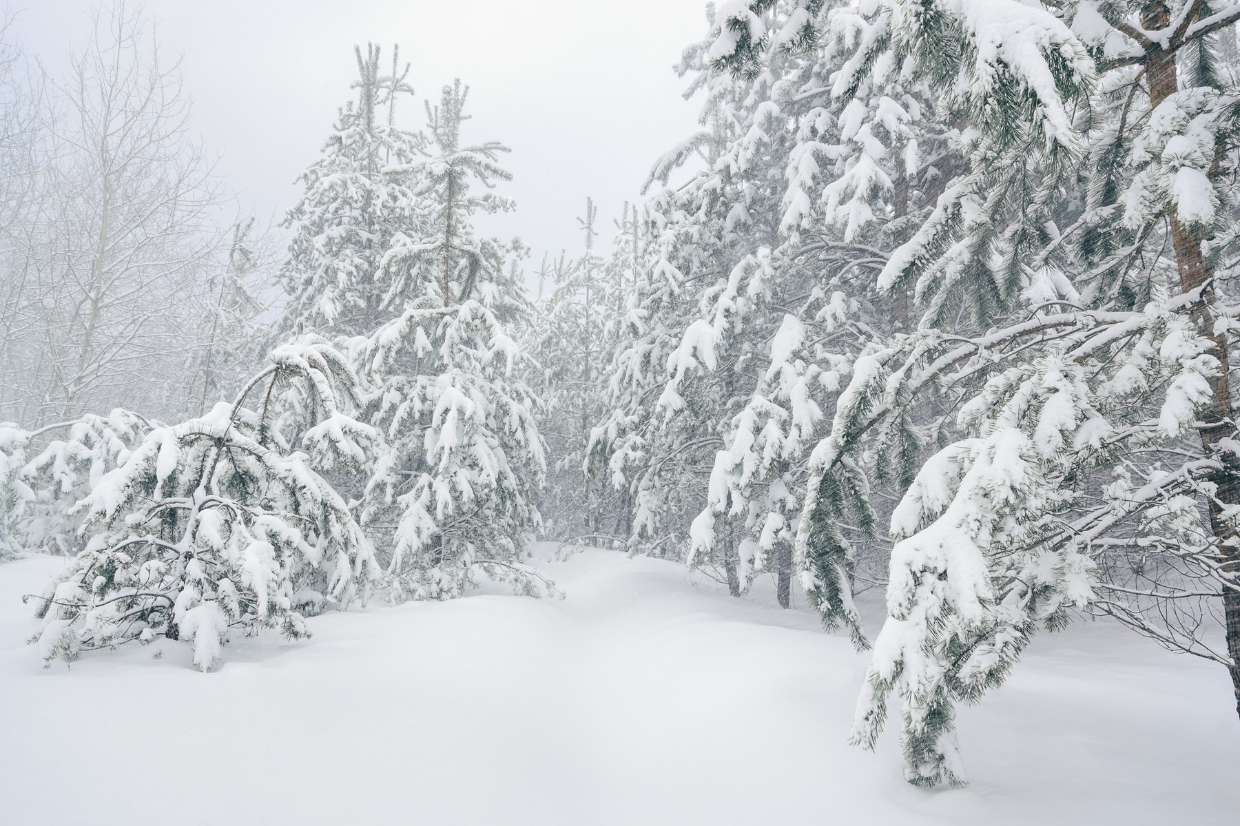 Kápráztatos képeken a havas Dunántúl, vastag hóréteg borít mindent Mikulás napján