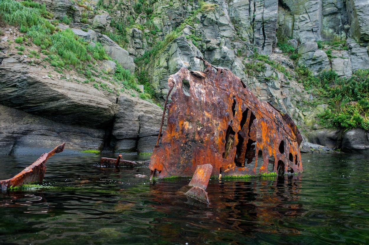 They found and tasted 170-year-old champagne inside a mysterious shipwreck: and described what they felt in disturbing words.