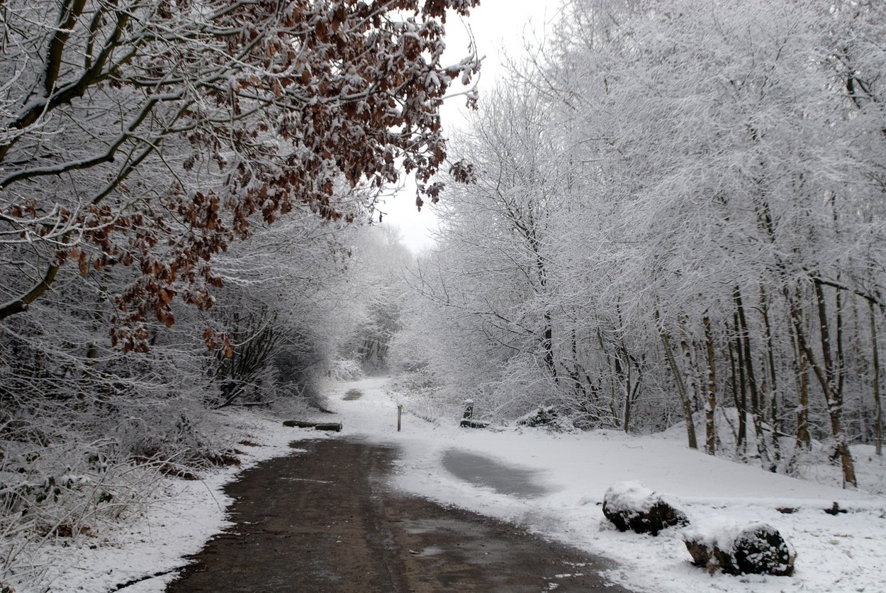 Veszélyesre fordul az időjárásunk karácsony előtt, riasztó jelenségre hívták fel a figyelmet a meteorológusok