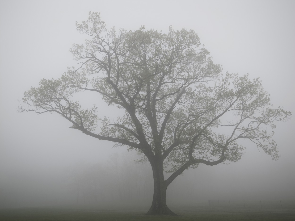 Veszélyes időjárási jelenség miatt adtak ki riasztást a meteorológusok, nem sok jóra számíthatunk karácsony előtt