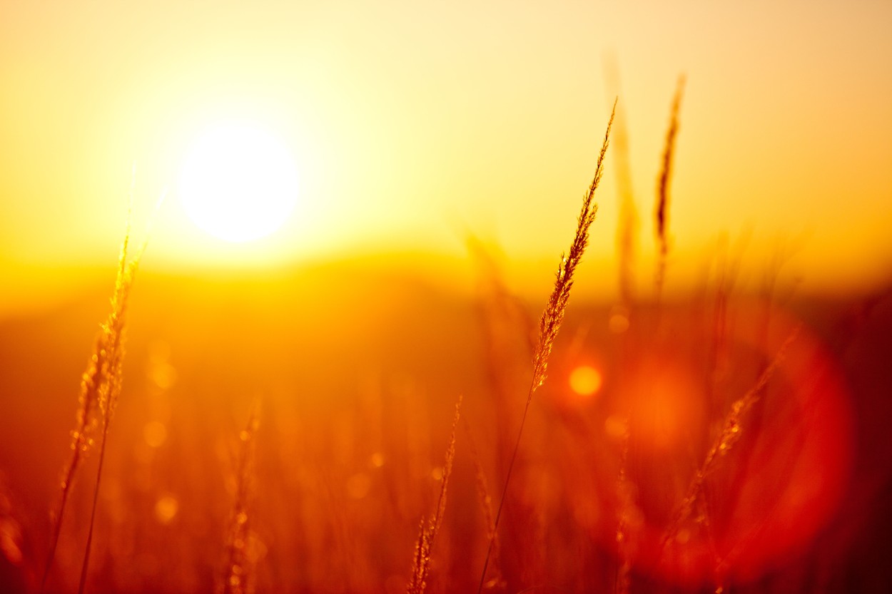 Trópusi meleg vár ránk az év utolsó napjaiban, döbbenetes magasságokba kúsznak fel a hőmérő higanyszálai
