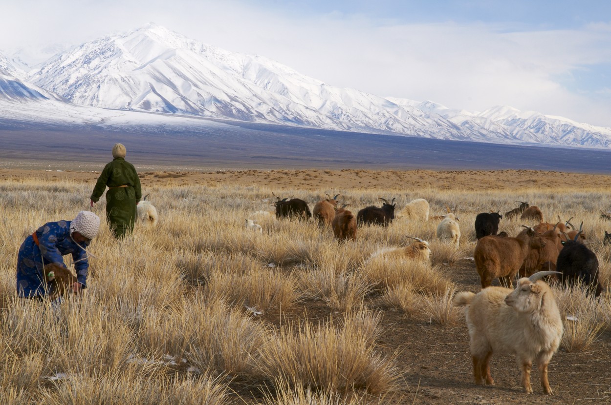 Dzsingisz kán múmiái még az egyiptomiaknál is rejtélyesebbek, hihetetlen következtetéseket vontak le a tudósok a talált maradványok alapján