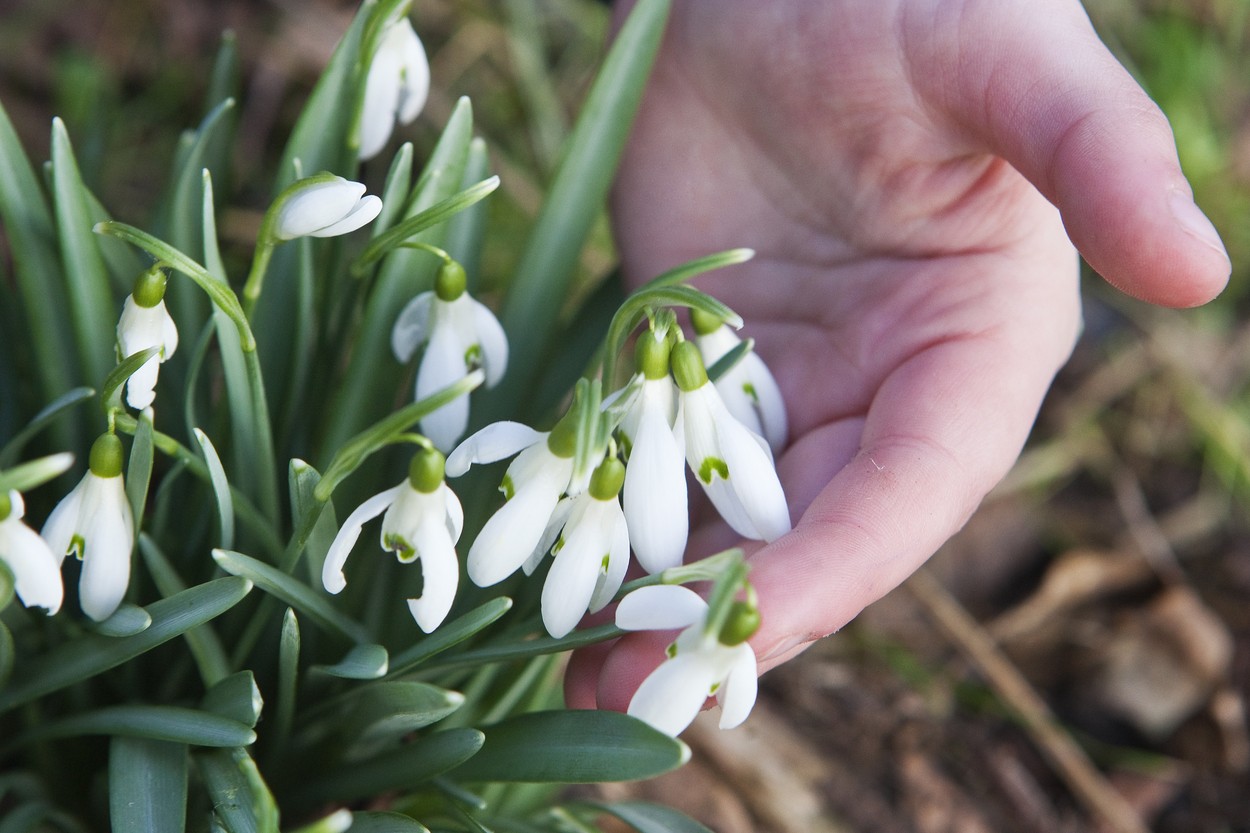 Példa nélküli dolog történik időjárásunkban, ezektől a számoktól még a meteorológusok is felkapták a fejüket - részletes időjárás-előrejelzés