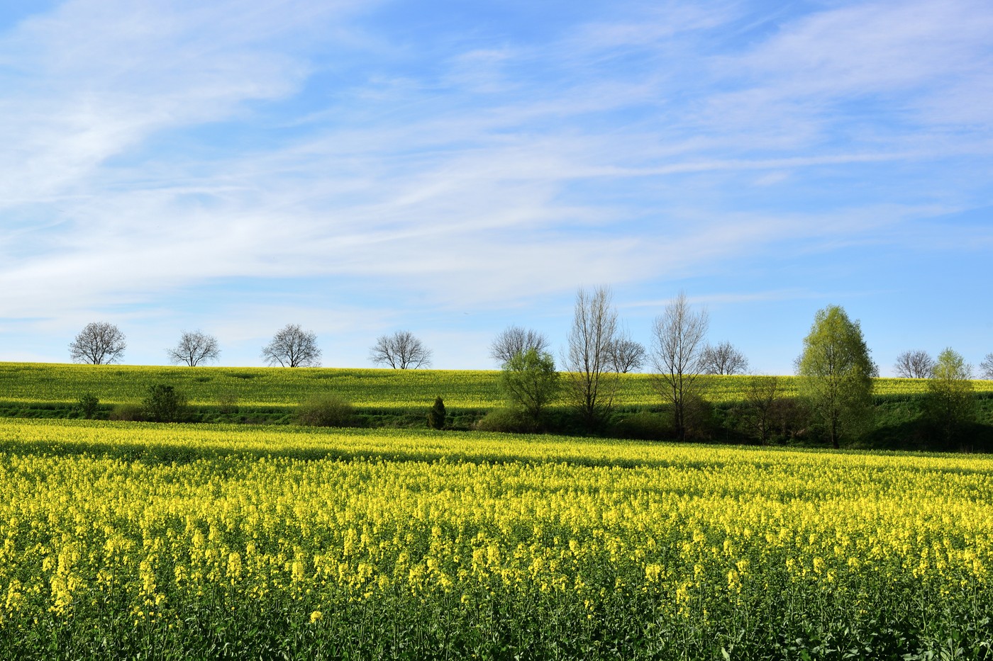 Már érkezik is a változás hazánk időjárásában, egészen másra számíthatunk mint az előző napokban - részletes időjárás-előrejelzés