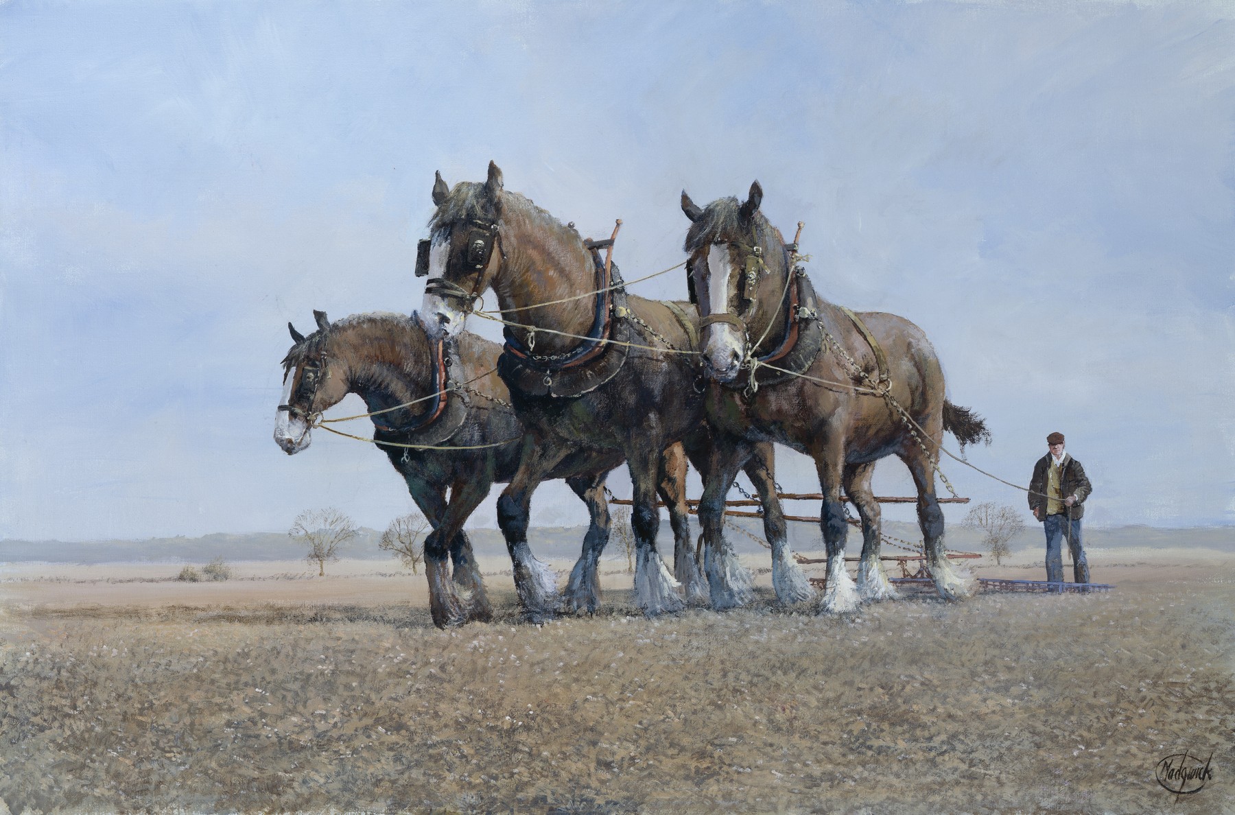 Gigantikus méretű lóról került elő fénykép, létra kellett ahhoz, hogy felüljenek rá