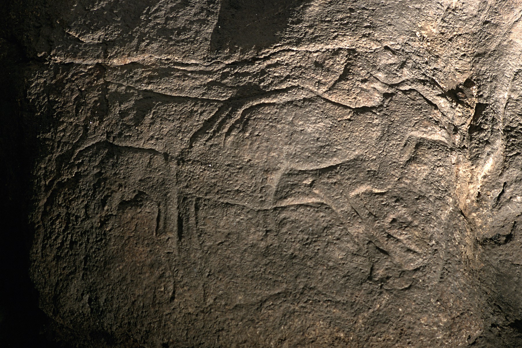 Létezik egy unikornis barlang Németországban, ahol hihetetlen felfedezés került elő az ősemberekről