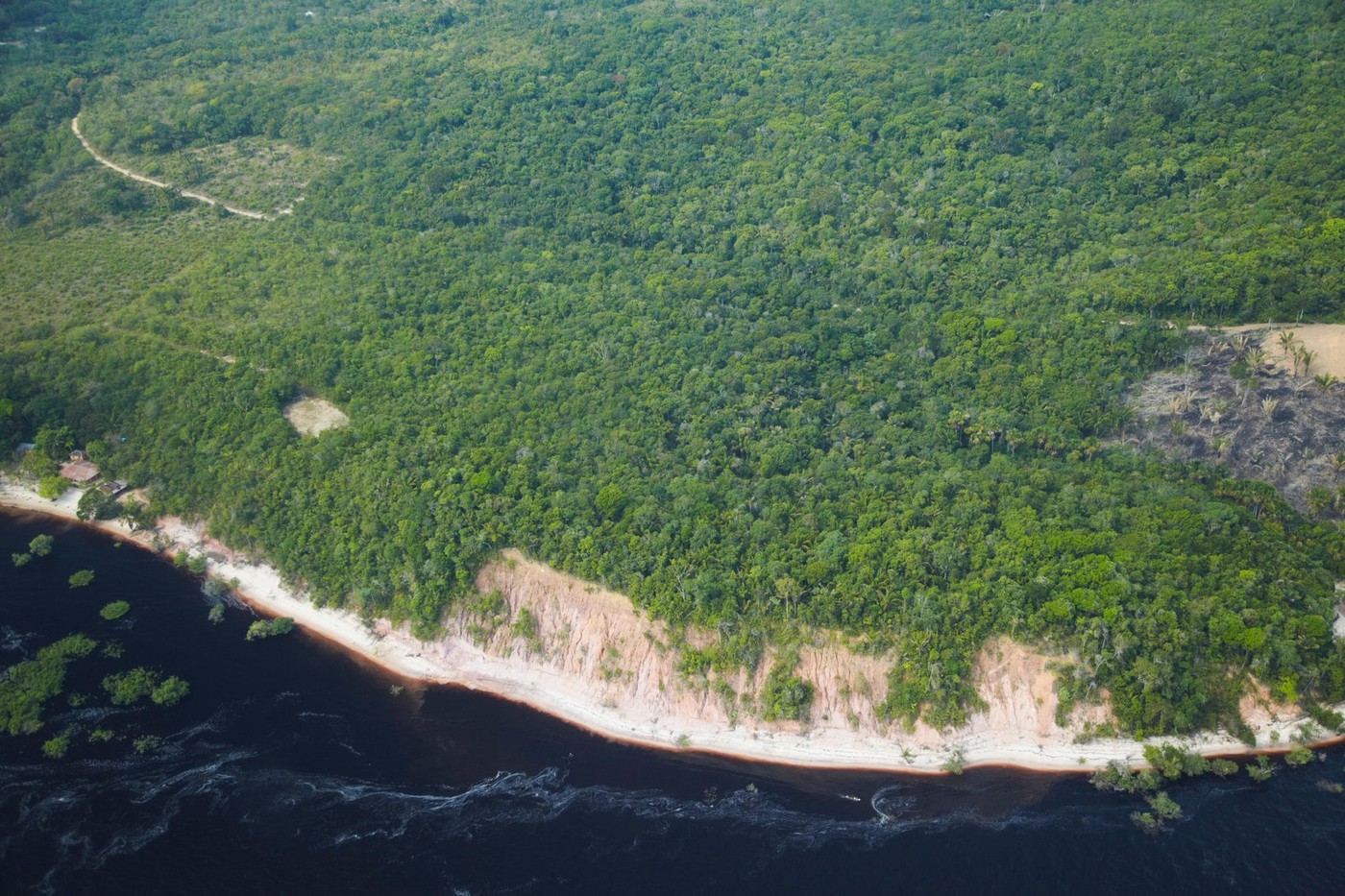 Az Amazonas mentén egy magyar név visszhangzik, gyönyörűen csengenek spanyol nyelven Ady Endre csodálatos versei