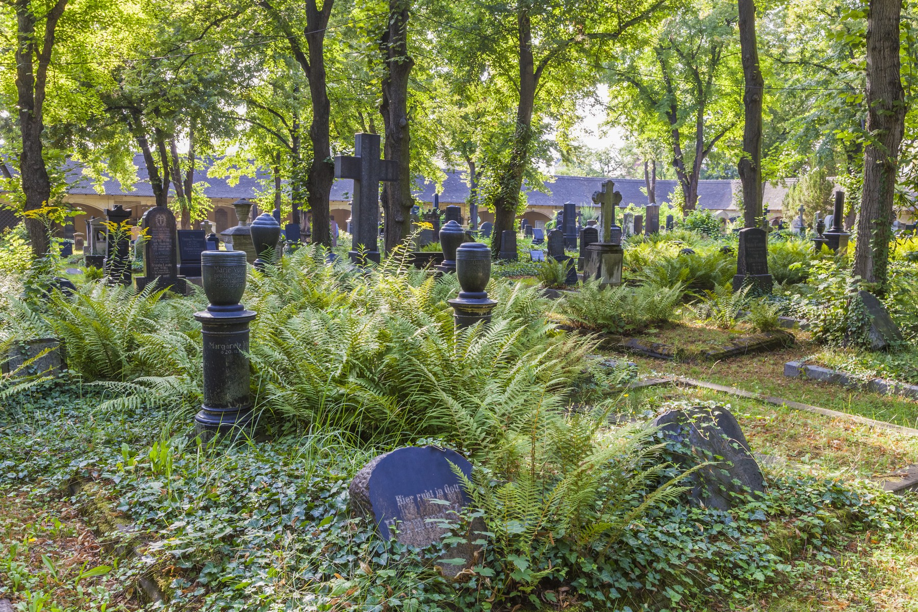 Titokzatos temető terül el Budapest közepén, kis utcából nyílik a sírok kertje amiről még a helyiek sem tudnak