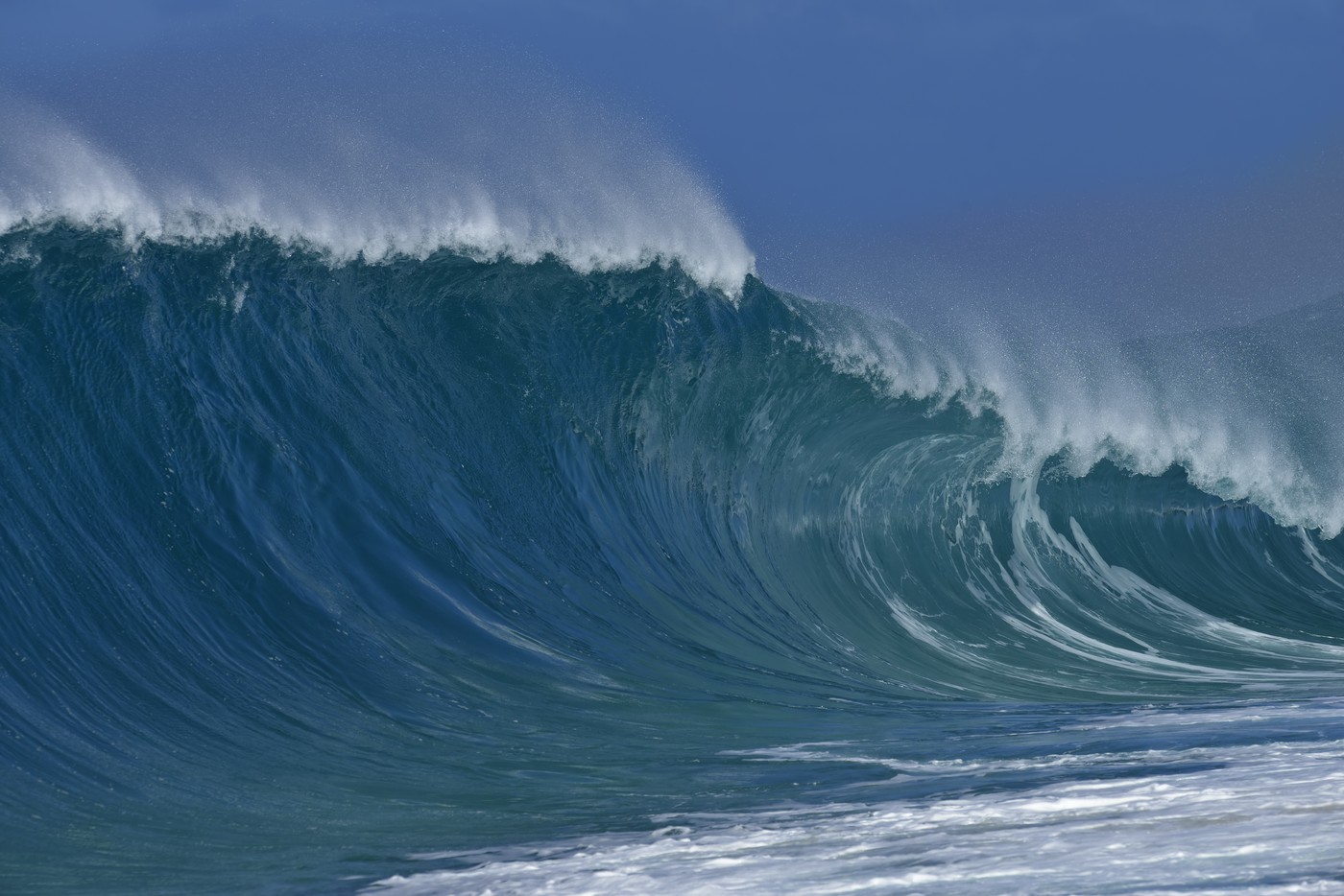 Megdöbbentő lény bukkant fel a Csendes-óceán fenekén, a tudósok sem akartak hinni a szemüknek a különleges felfedezés láttán
