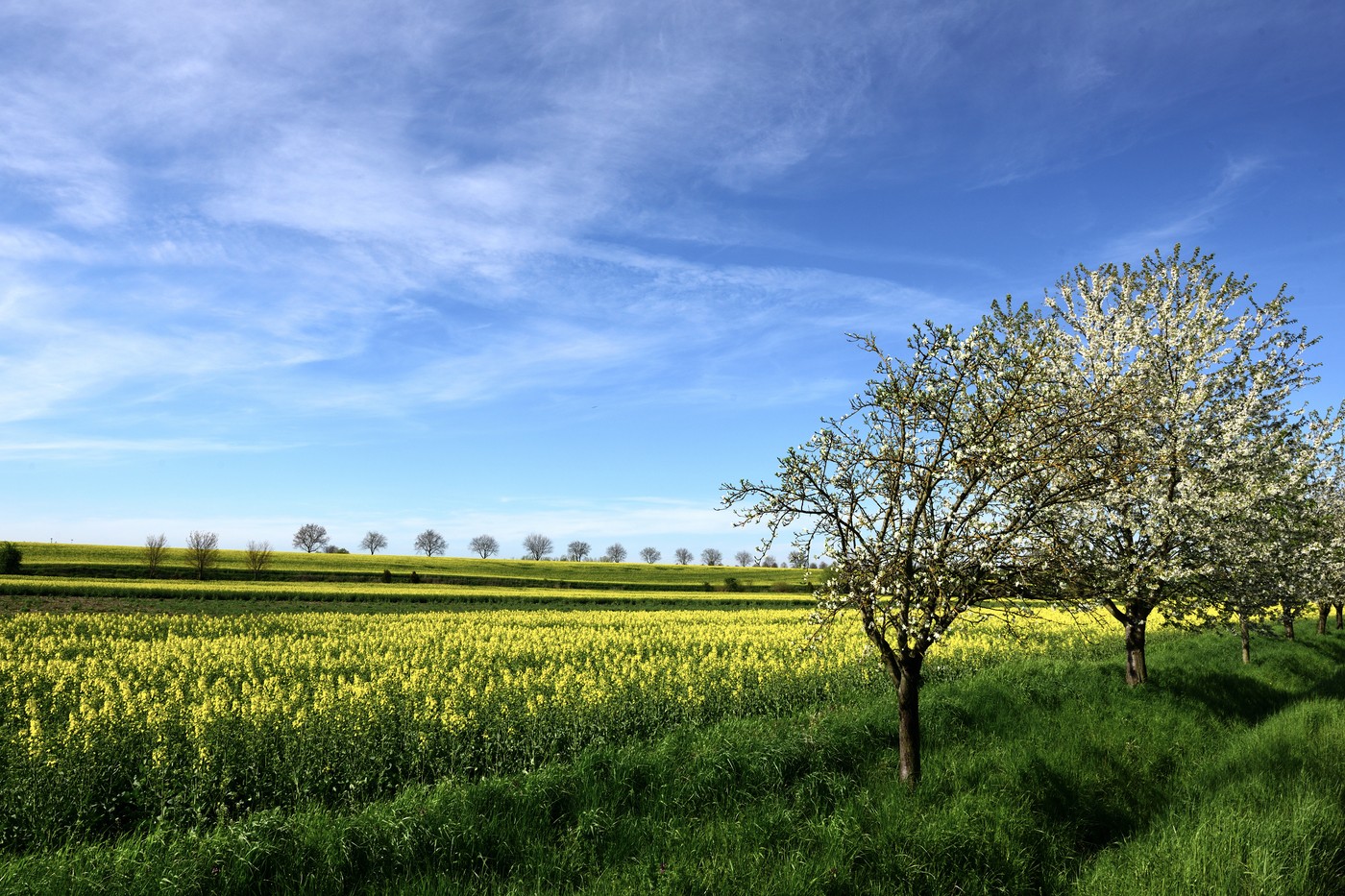 Megállíthatatlanul száguld felénk a forróság, a meteorológusok sem hittek a szemüknek a maximumok láttán - részletes időjárás-előrejelzés