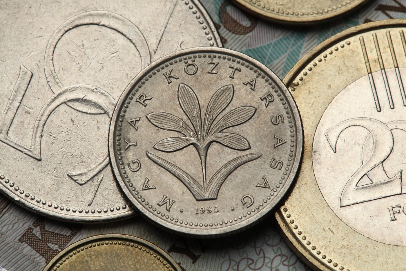 A NÉBIH közbelépett: termékek tucatjával akarták átvágni a magyar vásárlókat, mutatjuk a listát