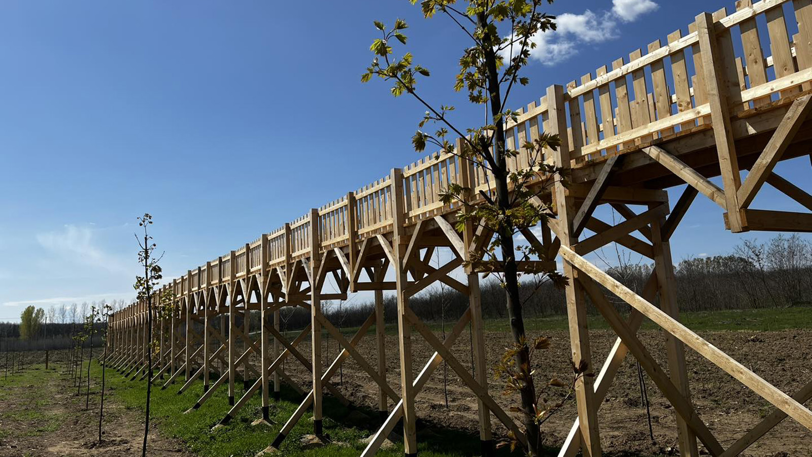 Röhög az ország: a legendás lombkoronasétány saját LEGO-szettet kapott