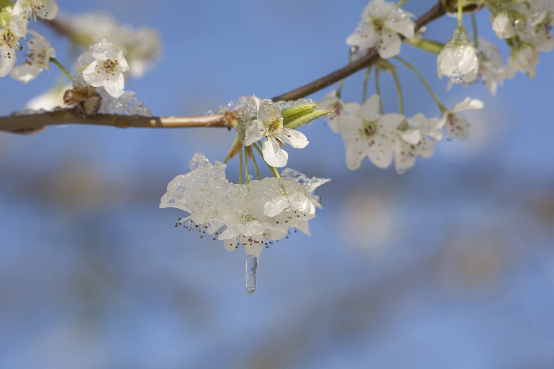 Brutális változás az időjárásban, fagyos légtömeg szakad a Kárpát-medencére, -7 fok is lehet