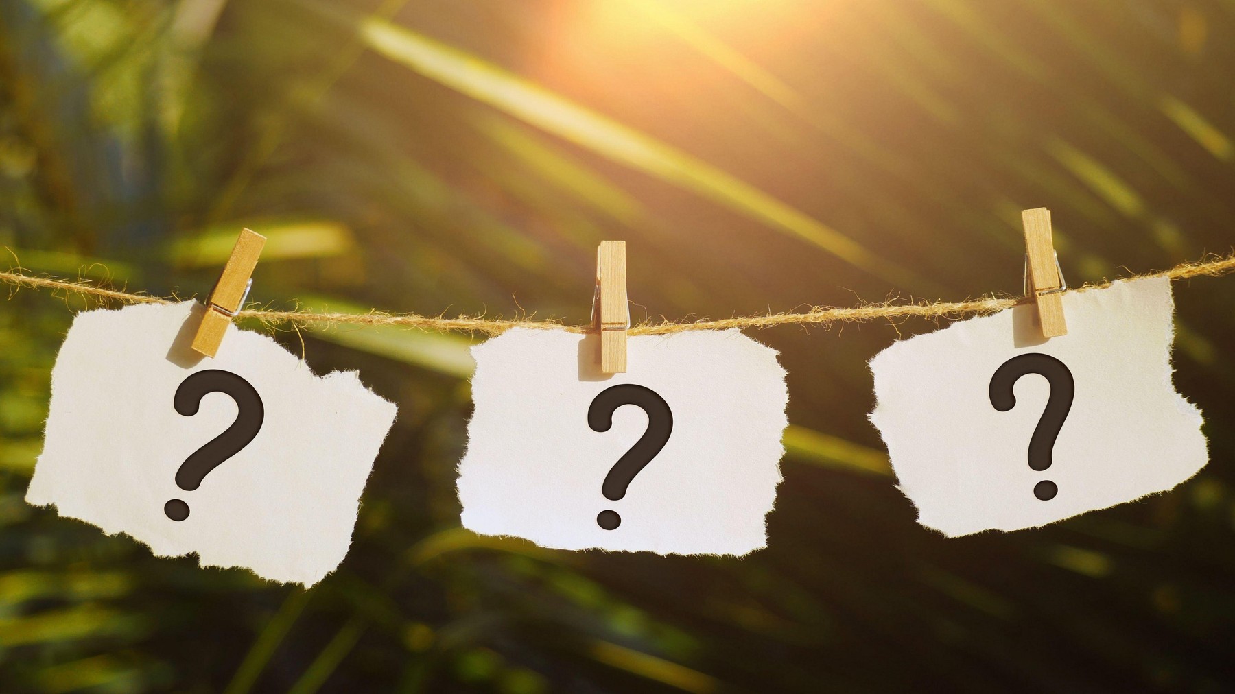 Szupernehéz képes kvíz: 6 jó válasz már átlagfeletti teljesítmény