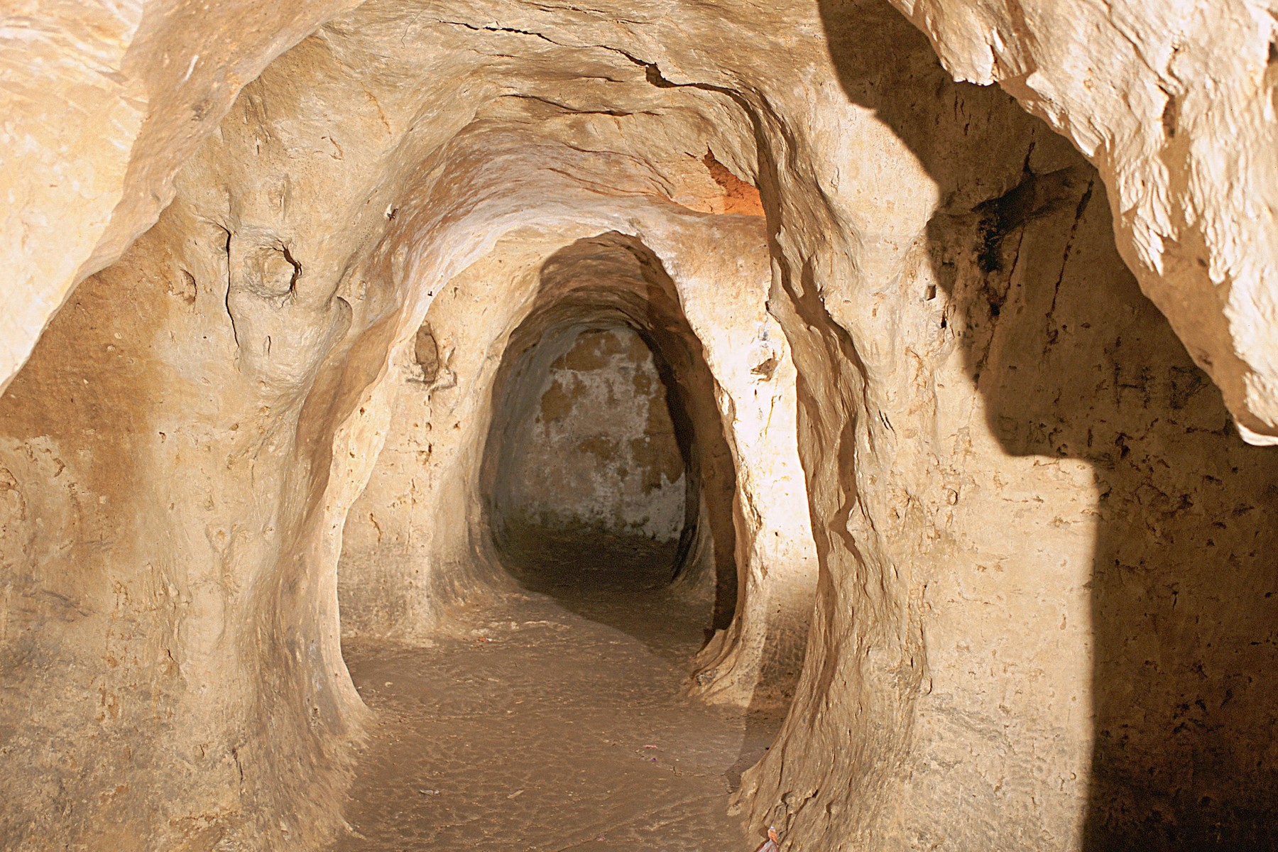 Bemerészkedtek a vajdasági barlangba, de amit ott találtak, az teljesen megdöbbentette a tudósokat