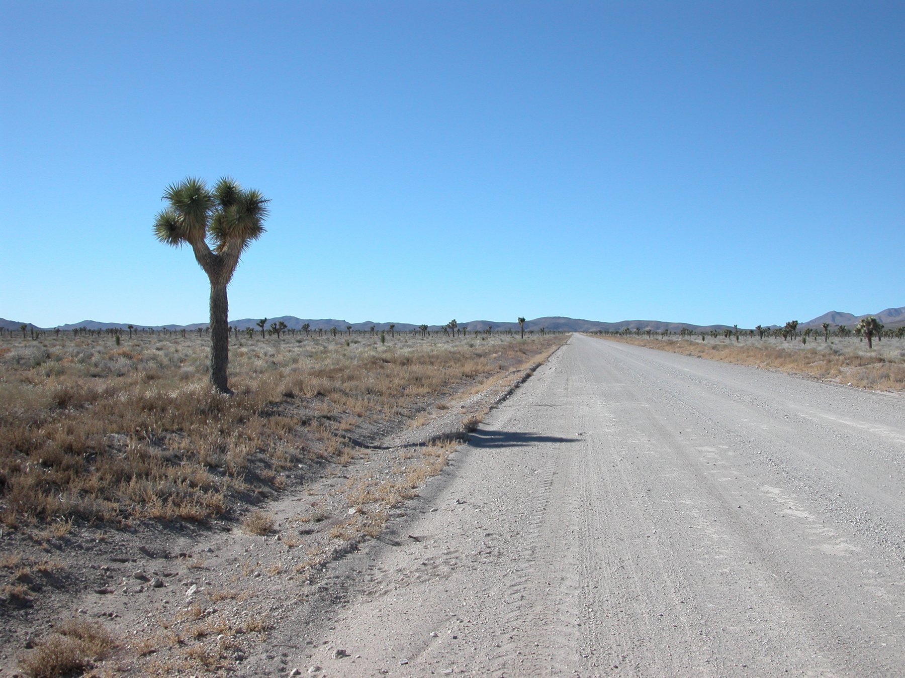 Nem csak Amerikában van 51-es körzet: az ázsiai nagytestvére még annál is rejtélyesebb