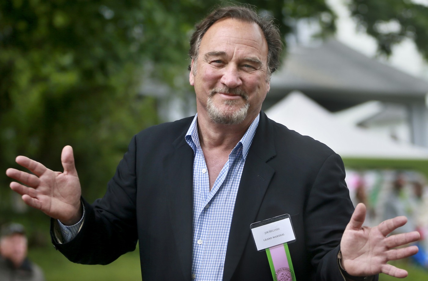 Ősz hajú, szakállas öregemberré változott a Kutyám, Jerry Lee sztárja, döbbenetesen néz ki napjainkban James Belushi