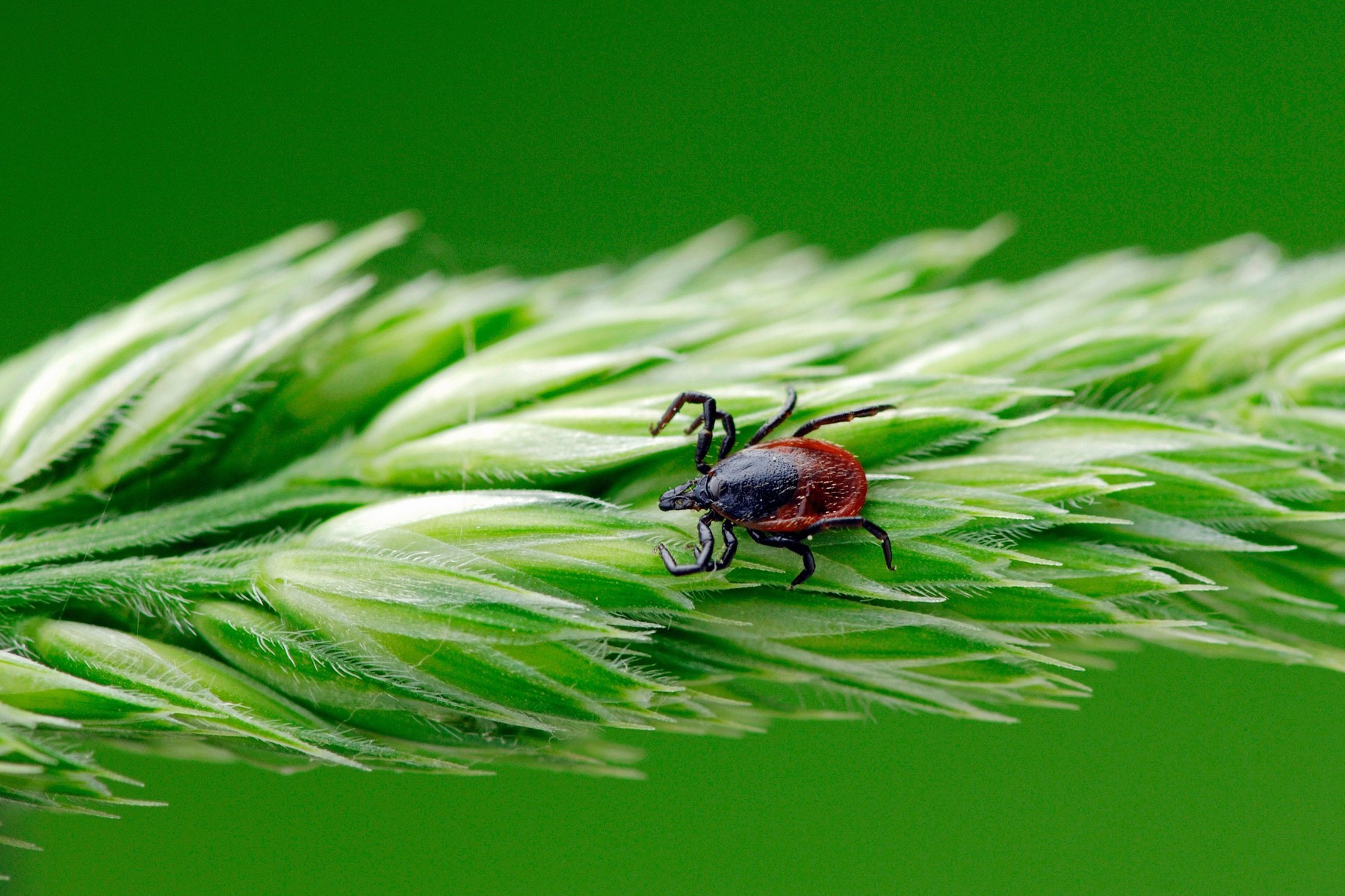 Rossz hírt kaptak a kikapcsolódásra vágyó családok: fokozott figyelem szükséges, ha kirándulni indulnátok