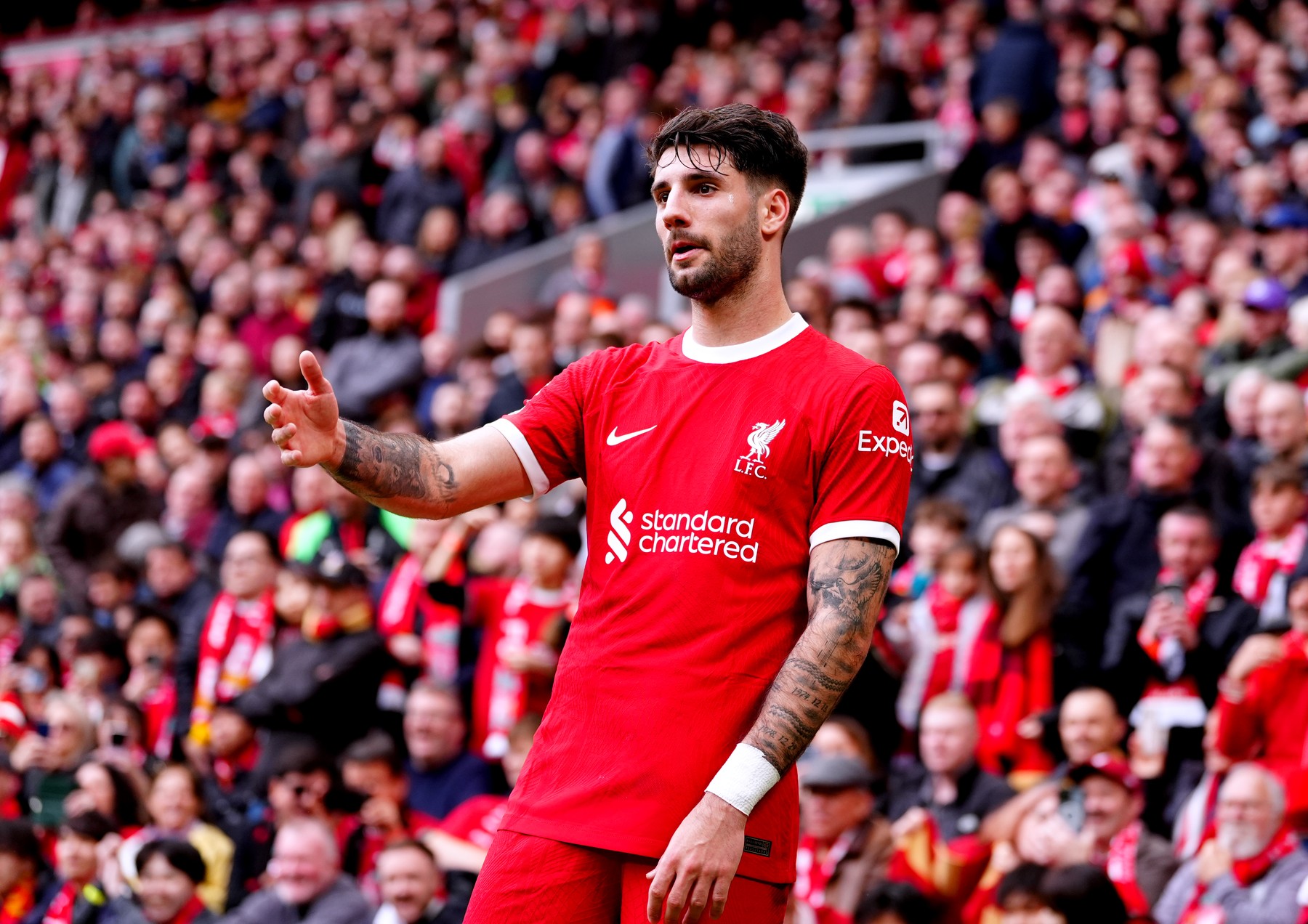 Hazai híresség és Szoboszlai Dominik közös képe, nagy lájkcunami zúdult az Instagramon Curtis képére