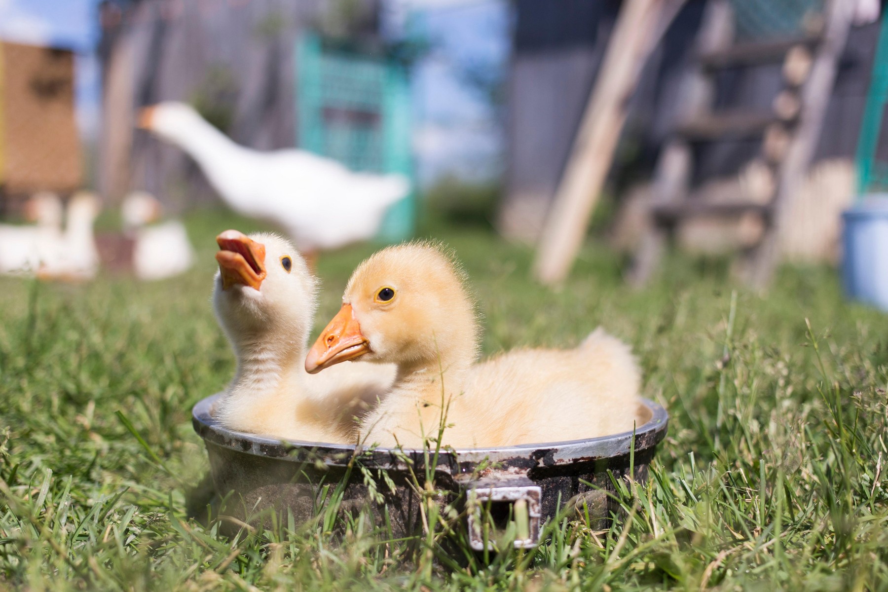 A húsvéti nyúl végleg elhozta a jó időt, de még érhetnek minket kellemetlen meglepetések