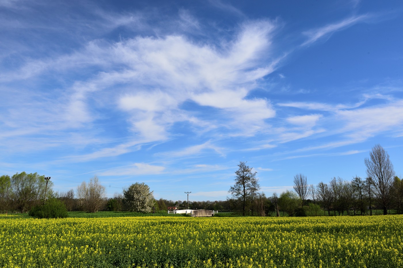 Váratlan fordulat az időjárásban húsvét után, már ma érezhető lesz a változás szele - részletes időjárás-előrejelzés